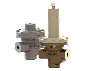 Nayagi-product-image